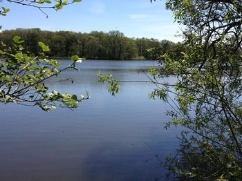Cleveley Mere Luxury Waterside Lodges Scorton  Екстериор снимка